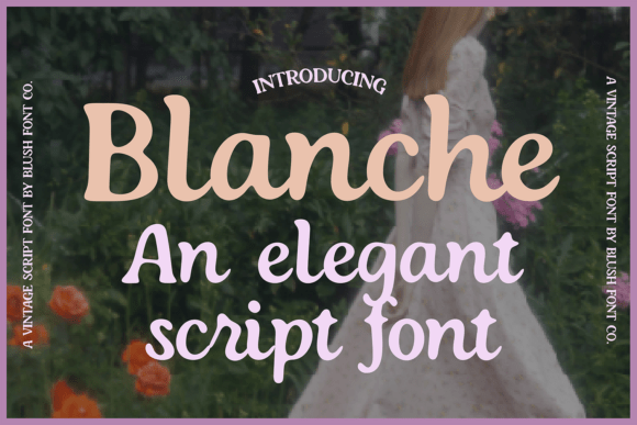 Blanche: A Vintage Script Font for Timeless Design